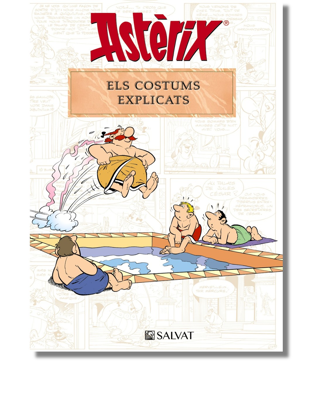 Astèrix. Els costums explicats